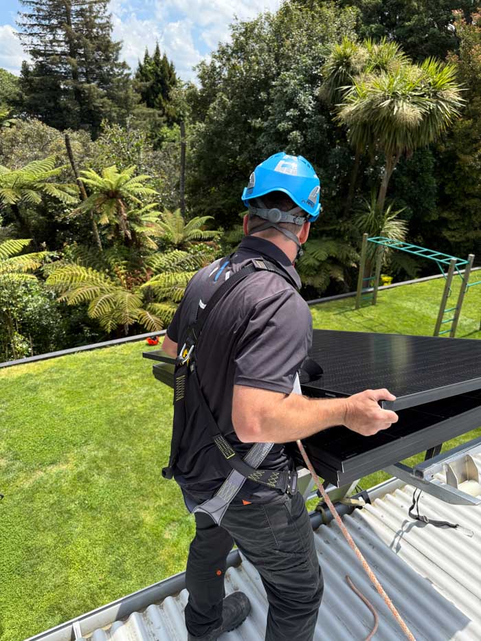 Battery Ladder Hoist - Image 11