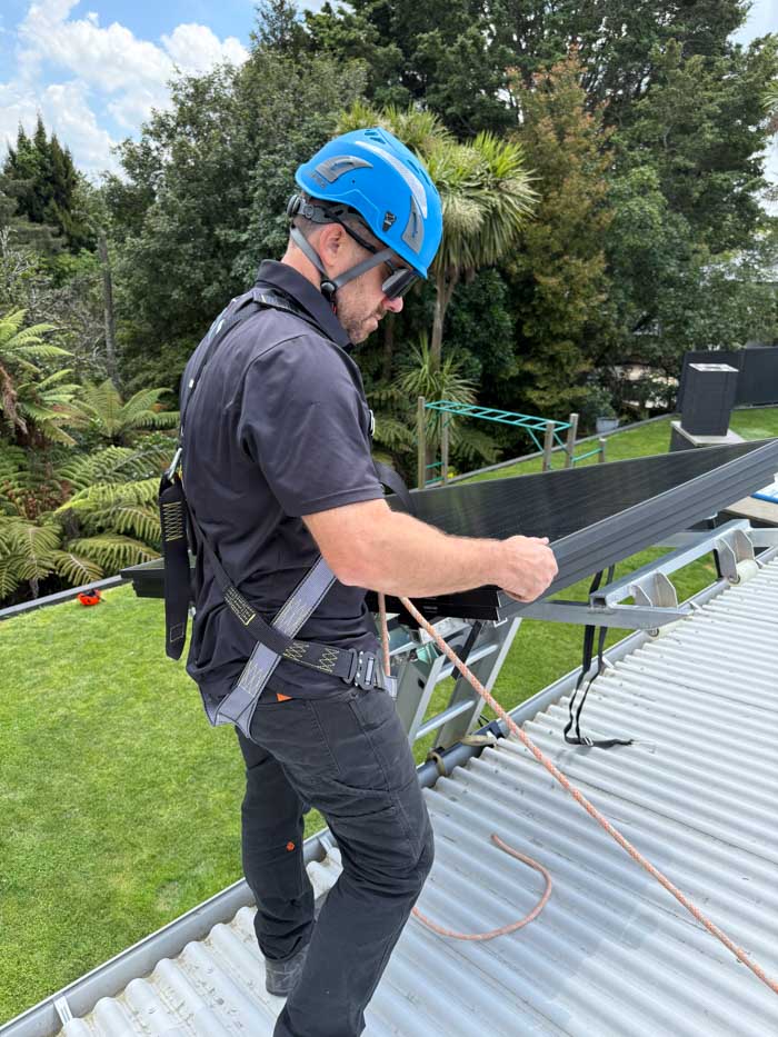 Battery Ladder Hoist - Image 9